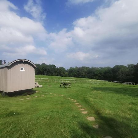 Molly Dishwasher Shepherds Hut Frant Kültér fotó