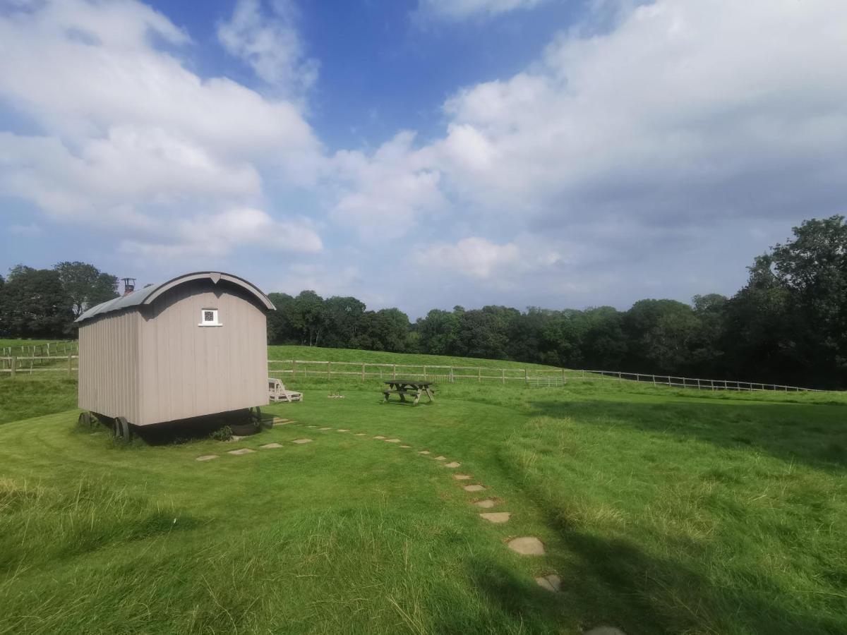 Molly Dishwasher Shepherds Hut Frant Kültér fotó