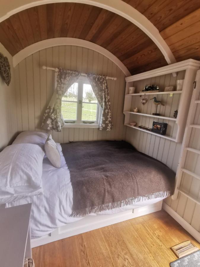 Molly Dishwasher Shepherds Hut Frant Kültér fotó
